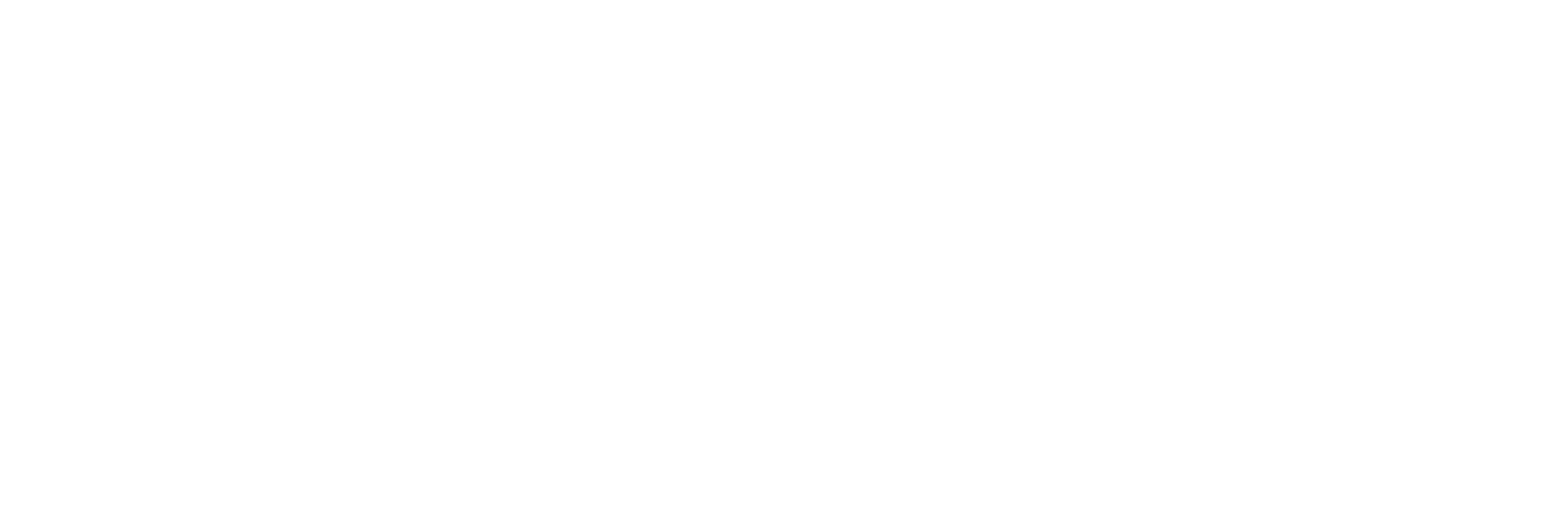 TokenLogo_White
